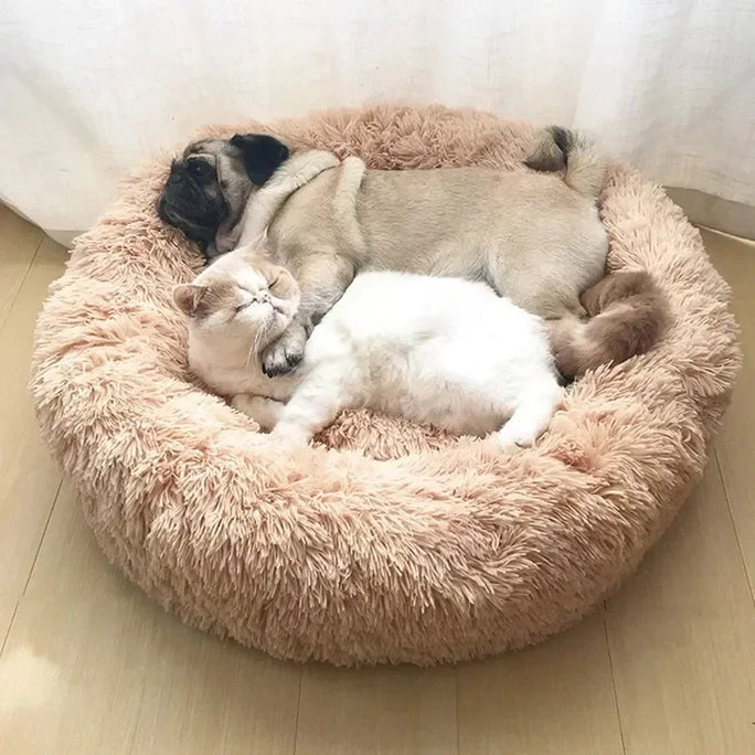 Plush Donut Cat Bed